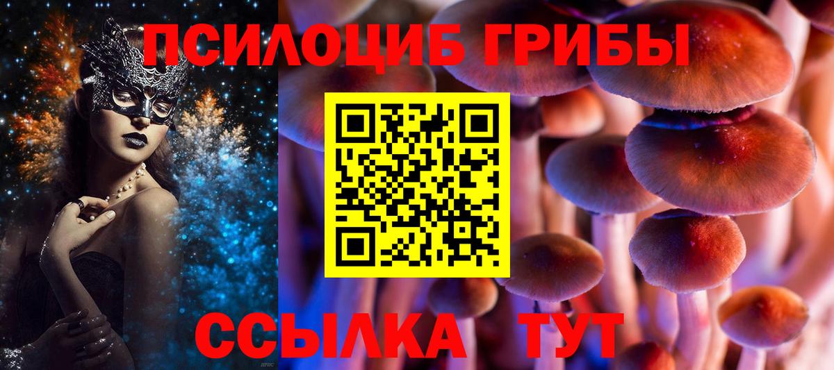Псилоцибиновые грибы GOLDEN TEACHER Юрга